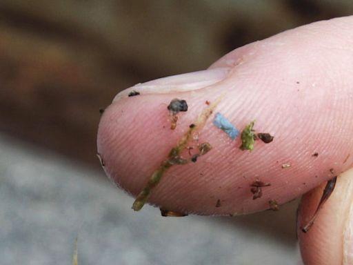 Microplastics are all around us, but how harmful are they?