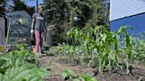 Eastport, Bywater and Woodside Garden residents combat food insecurity with community gardens