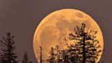 Let's shoot the moon! Here's how to get the best picture during supermoon summer