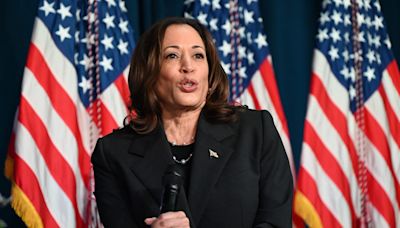 Kamala Harris ‘only choice’ to replace Biden as time runs out, say Democrats
