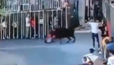 Horror moment woman is gored by bull as she tried to cross the street