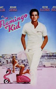 The Flamingo Kid