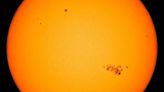 Still Have Your Eclipse Glasses? Use Them to Look at This Massive Sunspot