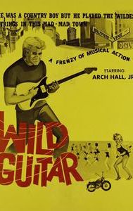 Wild Guitar