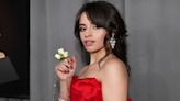 When Camilla Cabello Revealed She Tries To Stay Away From Social Media Because 'It's Not Good For Her', More DEETS...