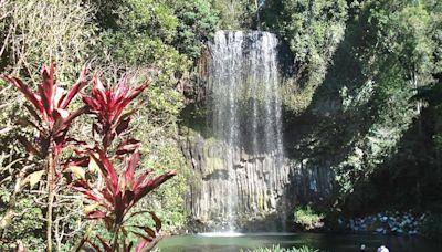 Australien - Todesdrama im Urlaubsparadies Zwei Männer sterben an weltberühmtem Wasserfall