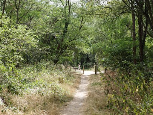 Philippine, sans vie au bois de Boulogne : ce que l’on sait de la mort de l’étudiante de 19 ans