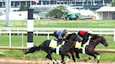 Sierra Leone Tops Heavy Work Tab Of Kentucky Derby Hopefuls