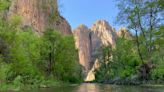 Endangered Gila trout rescued from Black Fire