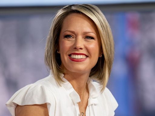 Dylan Dreyer's Plane Photo Stirs Up Intense Debate Amongst Fans: 'What Is Wrong with Everyone'