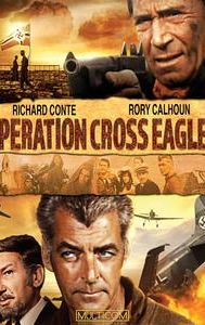 Operation Cross Eagles