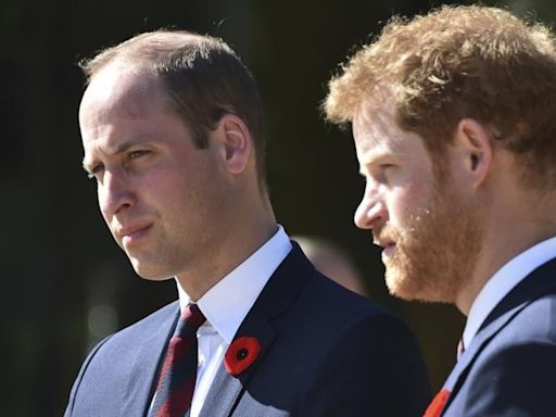 Prince William's ‘Meghan’ warning to Prince Harry ‘was correct’