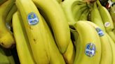 El gigante bananero Chiquita, declarado culpable de financiar a paramilitares colombianos