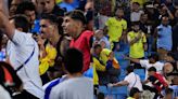 Lamentables incidentes en la Copa América: Darwin Núñez a las trompadas con hinchas de Colombia | + Deportes