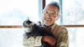 32 best cats for seniors