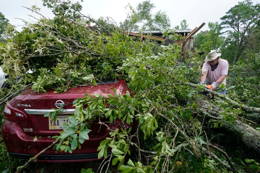 Where to dump tree debris after storm in Topeka