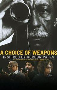 A Choice of Weapons: Inspired by Gordon Parks