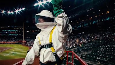 Pest control gets hero’s welcome at MLB stadium as bee colony delays game