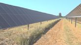 Lodi dairy farmer gets final solar inspection after CBS13 presses PG&E for answers