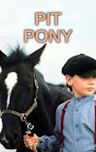 Pit Pony