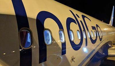 IndiGo Outage: Airline Reports System Slowdown, Causing Delays In Website And Airport Services