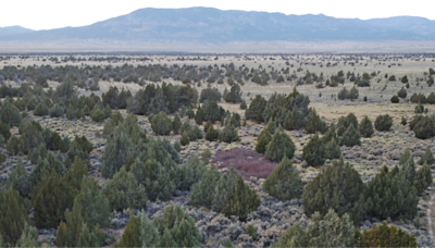 Cortez Masto introduces bill to create monument in eastern Nevada