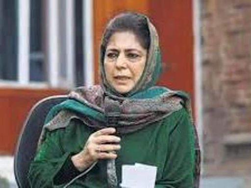 PDP reviews poor Lok Sabha polls showing in Kashmir