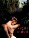 Des anges et des insectes