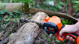 This 'powerful little saw' cuts like butter — and it's less than $100 on Amazon