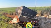Caminhão que colidiu contra barranco estava com família do Pirapó | TNOnline