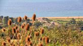 Unspoilt coast where you can find the 'real Broadchurch'