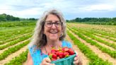 A king, a spy and intrigue: How Mass. helped make strawberries so delicious