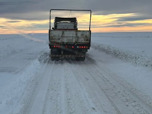 Frío extremo en Argentina: de Venado Tuerto a Tandil, las 15 ciudades que amanecieron con temperaturas bajo cero