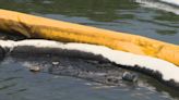 2nd oil spill in Montreal’s east end a week after cleanup of another - Montreal | Globalnews.ca