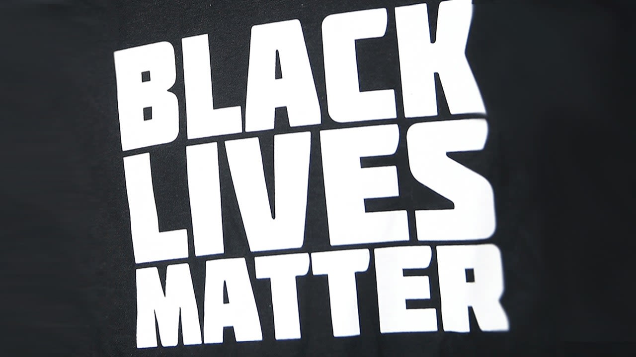 Black Lives Matter says Dems are 'party of hypocrites' for 'installing' Harris sans 'public voting process'