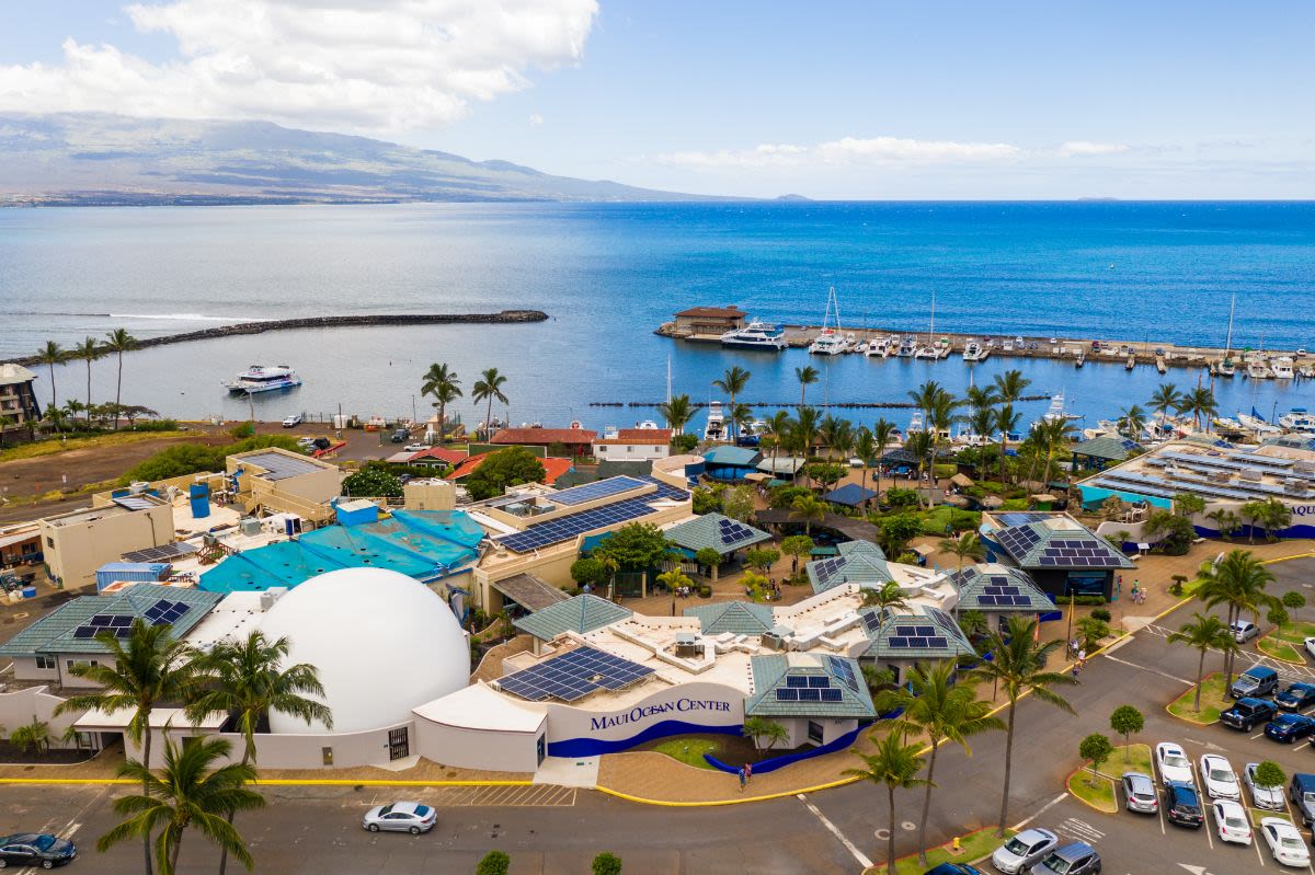 Is the Maui Ocean Center the best aquarium in the nation?