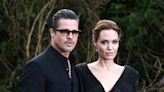 Angelina Jolie Claims Brad Pitt Choked, Struck Two of Their Children on a Flight