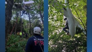 Glider pilot rescued from treetops after crashing in New Hampshire