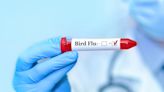 US Bird Flu Outbreak Seeing 'Sustained' Spread Between Mammals, Study Warns