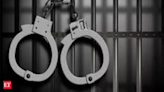 Ad hoc chair of Kashmir chapter of J&K High Court Bar arrested under PSA - The Economic Times