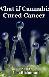 What If Cannabis Cured Cancer?