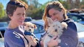 Sarah Paulson and Amanda Peet Adopt 2 Puppies Together: 'New Addition to the Family'