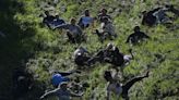 In pictures: Champions crowned in cheese rolling races