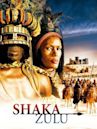 Shaka Zulu: The Citadel