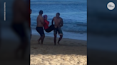 Swimmer attacked by endangered Hawaiian monk seal mother protecting her pup, video shows