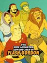 The New Animated Adventures of Flash Gordon