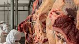 Bolivia elevó producción de carne bovina en 2023 - El Diario - Bolivia