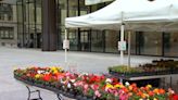 Chicago's iconic Daley Plaza Farmers Market opens for 2024 season