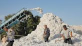 Can a DOL-Backed Program Turn Uzbek Cotton’s ‘Yellow Light’ Green?