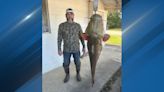 Oklahoma fisherman catches 95lb flathead catfish, largest ever at Pine Creek Reservoir